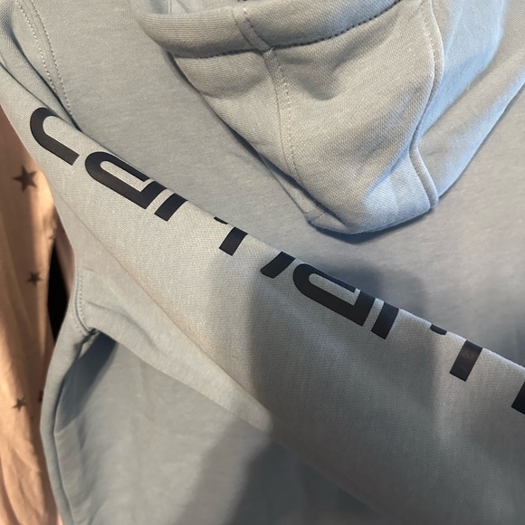 Carhartt net graphic hooded sweatshirt - Picture 4 of 5